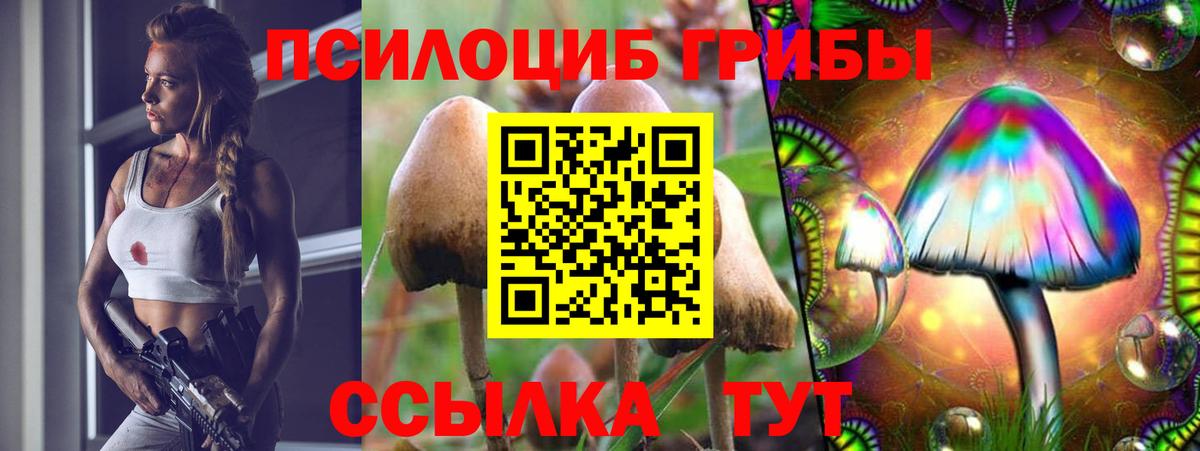 Протвино  Псилоцибиновые грибы Psilocybine cubensis  Вход с VPN 