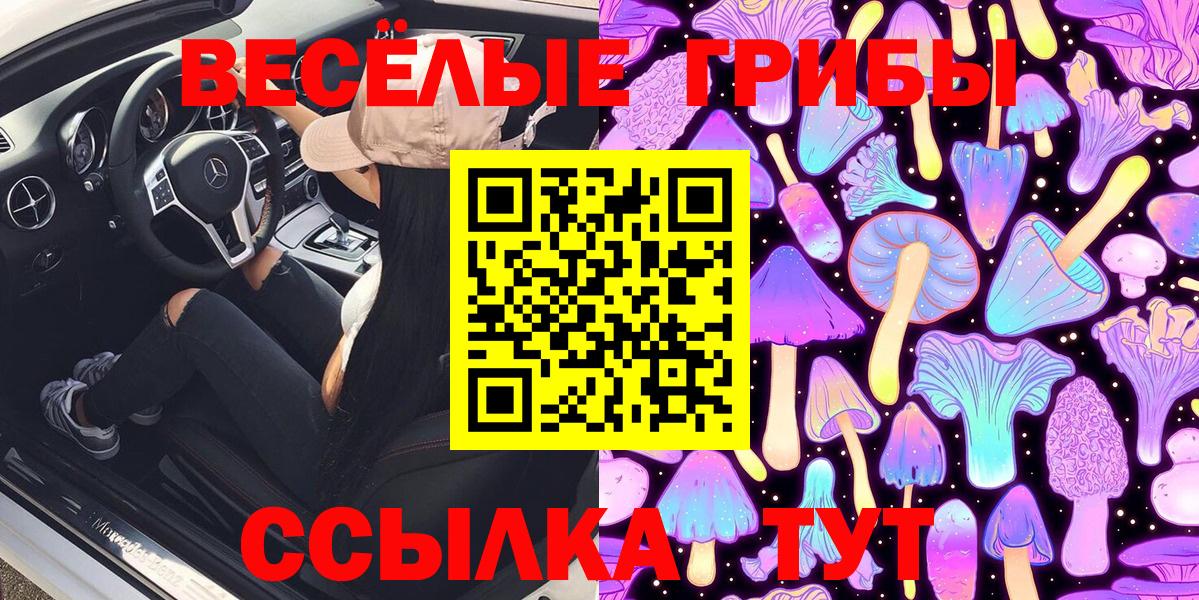 Псилоцибиновые грибы прущие грибы Протвино